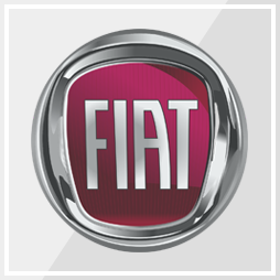 Ремонт автомобиля Фиат (Fiat)